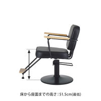 SEVEN BEAUTY (セブンビューティー) スタイリングチェア combo 100 ブラック 45245-SET-1 1台（直送品）