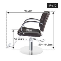 SEVEN BEAUTY (セブンビューティー) スタイリングチェア CURVE ダークブラウン 37410 1台（直送品）