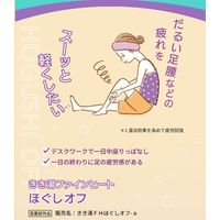 きき湯 炭酸入浴剤 ファインヒート ほぐしオフ 詰め替え 500g 1個 お湯の色 オレンジ（透明タイプ） アース製薬