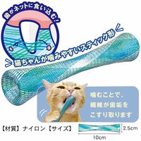 キャティーマン 猫ちゃん歯ブラシ かみかみ歯ピカ 2個入 1個 ドギーマンハヤシ 猫用 おもちゃ