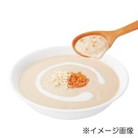 キャティーマン 猫 シニア用 ねこちゃんの国産牛乳を使ったスープごはん ささみ＆サーモン 国産 40g 5袋 ドギーマンハヤシ