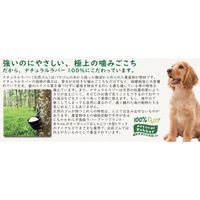 プラッツ unipod ダンベル イエロー 4702819 1個入（直送品）