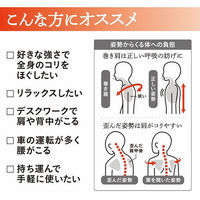 中山式産業 中山式快癒器 2球式 010668