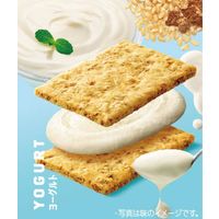 クリーム玄米ブラン ヨーグルト 1セット（1袋×3） アサヒグループ食品