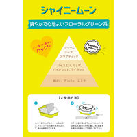 ラボン LAVONS ラボン・デ・ブーン 車用 芳香剤 置き型ゲル大容量 シャイニームーンの香り 175g 1セット（1個×3）