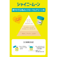 ラボン LAVONS ラボン・デ・ブーン 車用 芳香剤 ゲルタイプ シャイニームーンの香り 110g 1セット（1個×3）