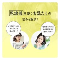 ファーファ 乾燥機対応洗剤 詰め替え 大容量 850g 1セット（1個×3） 洗濯洗剤 NSファーファ・ジャパン