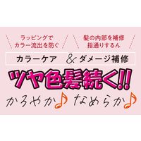 【アウトレット】ビオリカ クレイ シャンプー 360ml 3個 ドウシシャ
