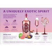 コカレロ ヴィーダ 22度 700ml 1本 国分 リキュール