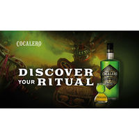 コカレロ クラシコ 29度 700ml 1本 国分 リキュール