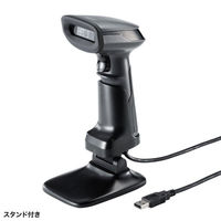 サンワサプライ 2次元バーコードリーダー(スタンド付き・QRコード対応) BCR-2D10GY 1個（直送品）