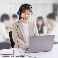 サンワサプライ Bluetoothステレオヘッドセット(クレードル付き・デュアルマイク) MM-BTSH70BK 1個