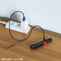 サンワサプライ ペン型ライト(ショートタイプ) LED-PEN2BK 1個（直送品）