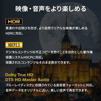 サンワサプライ 8K対応HDMI切替器(2入力・1出力または1入力・2出力) SW-HDR8K21BD 1個