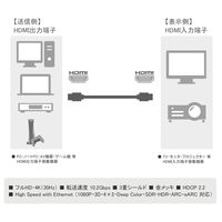 HDMIケーブル 2m 4K30Hz EB-HDMI020GAGA-B 1本 Vodaview