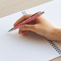 リヒトラブ ソフィーチェノート セミB5 リーフ30枚 N3104-10パープル 1セット（1冊×5）