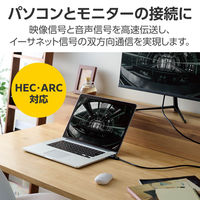 エレコム HDMIケーブル/Premium/スタンダード/3.0m/ブラック CAC-HDP30BK2 1個