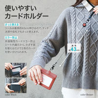 MSソリューションズ ネックストラップ 平紐タイプ (カードホルダー付属) ブラウン LN-IDCH01BR 1個