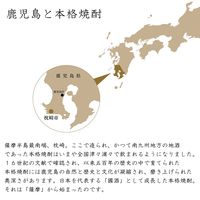 琥珀の夢 貯蔵焼酎 25度 720ml 1本　麦焼酎　薩摩酒造