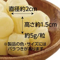 ペティオ 極上 チーズ 乳酸菌入り 無添加 国産 130g 1セット（1袋×3）犬用 おやつ