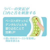 ペティオ かんでるリング デンタル ソフトタイプ 超小型犬～小型犬用 国産 1個 犬 おもちゃ デンタルケア