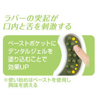 ペティオ かんでるリング デンタル ハードタイプ 超小型犬～小型犬用 国産 1個 犬 おもちゃ デンタルケア