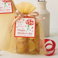 ヘッズ オーガンジーバッグ/シャンパンゴールド-L OGC-BL 1袋(10枚)