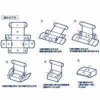 シモジマ ナチュラルBOX Zー18 006201810 1袋(10枚)