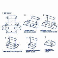 シモジマ ナチュラルBOX Zー23 006202310 1袋(10枚)