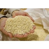 九州浪漫 九州産麦全量仕込み 25度 1.8L パック 1本 麦焼酎　紅乙女酒造