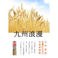 九州浪漫 九州産麦全量仕込み 25度 1.8L パック 1セット（6本） 麦焼酎　紅乙女酒造