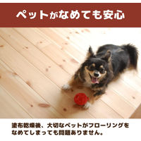 リビングわんにゃん！すべり軽減ワックスシート 10枚入 1セット（1袋×3）リンレイ 犬猫用