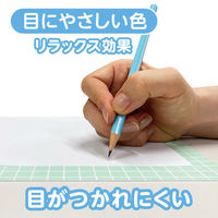 共栄プラスチック 下敷 しっかりシタ字キ A4 方眼/無地リバーシブル メロン SHS-A4-01 1枚