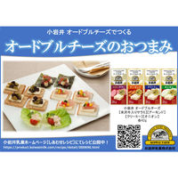 小岩井乳業 [冷蔵] オードブルチーズ【米沢牛入りサラミ】 42g×10個 49152661 1セット(10個)（直送品）