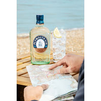 プリマス・ジン クラフトジン 41.2度 700ml 1本 イギリス お酒 ギフト プレゼント 誕生日 マティーニ ペルノ・リカール