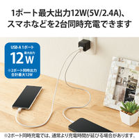 エレコム USB充電器 コンセント USB-A×2ポート 2.4A出力 黒 EC-AC3912BK 1個（直送品）