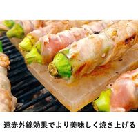 LOGOS 岩塩プレート 81065990 LOGOS/ロゴス