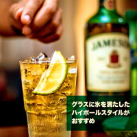 ジェムソン スタンダード アイリッシュウイスキー オリジナルエコバッグ付き ウィスキー ギフト 700ml 1本 ペルノ・リカール