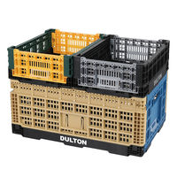 フォールディング メッシュ ストレージ 48L コヨーテ / ブルー V21-0347CO/BL DULTON/ダルトン