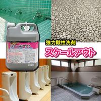 スケールアウト 強力酸性洗剤 4L 1本 ラグロン