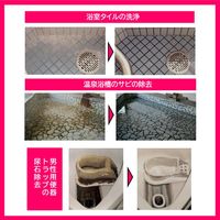 スケールアウト 強力酸性洗剤 4L 1セット（1本×4） ラグロン