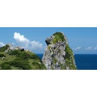 壱岐っ娘 25度 900ml パック 1セット（1本×6） 麦焼酎 壱岐の蔵酒造