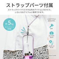 MSソリューションズ 挟み込みシート2枚セット クリア/ゴールド LN-SH01SCLGD 1個