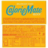 カロリーメイトブロック　2本入り　5種セット（バニラ・メープル・チーズ・チョコレート・フルーツ）1箱2本入×各20箱　大塚製薬