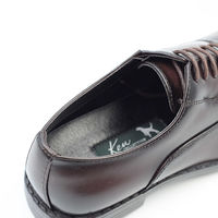 東邦レマック ケンコレ 生活防水 内羽根レースアップ ビジネスシューズ 5002D ブラウン 28.0cm  1足（直送品）