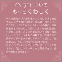 テンスター ヘナカラートリートメント ダークグレージュ 250g 三宝 白髪染め