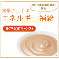 国産健康缶 エネルギー補給まぐろ 40g 48袋 国産 キャットフード ウェット パウチ