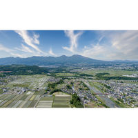 山吹 塩分ひかえめ 650g 1個 信州味噌 みそ