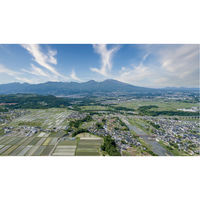 家傳山吹 650g 1個 信州味噌 みそ