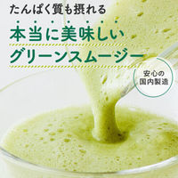 ぎゅっとたんぱくグリーンスムージー 1個 不二製油